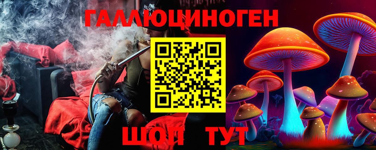 Галлюциногенные грибы прущие грибы Нерюнгри